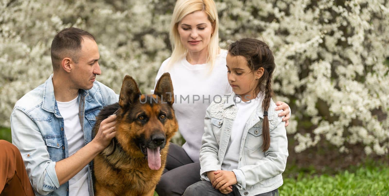 Family with small daughter and dog walking outdoors in orchard in spring by Andelov13