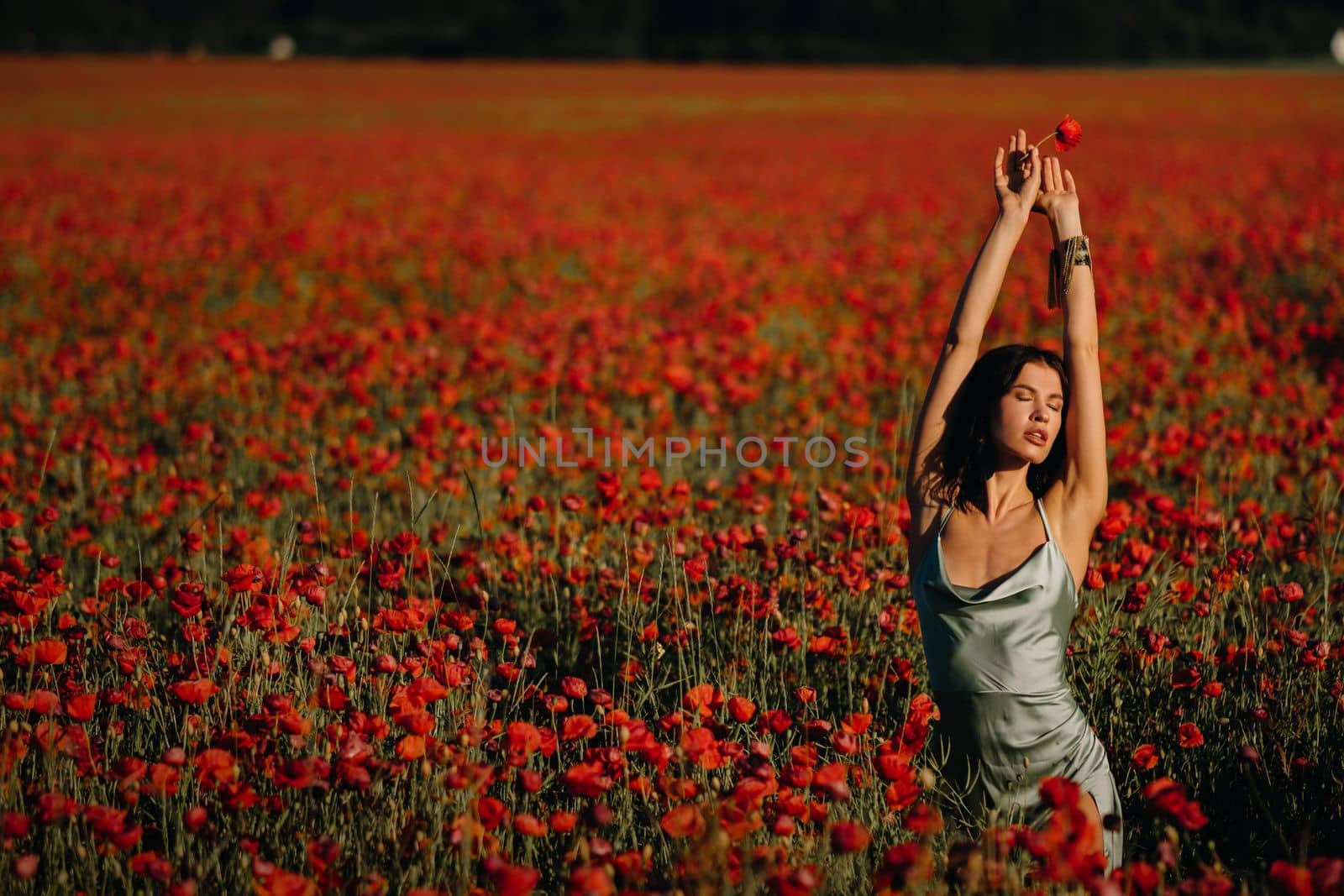 Portrait of a girl in a dress on a poppy field at sunset by Lobachad