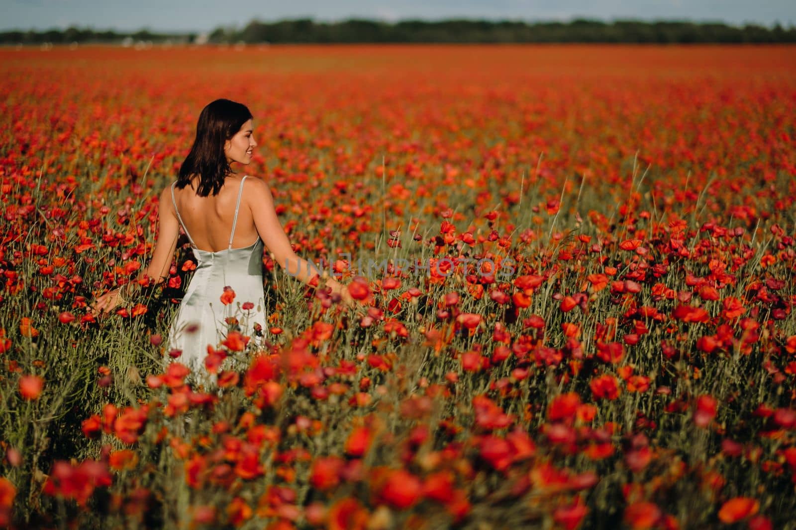 Portrait of a girl in a dress on a poppy field at sunset.