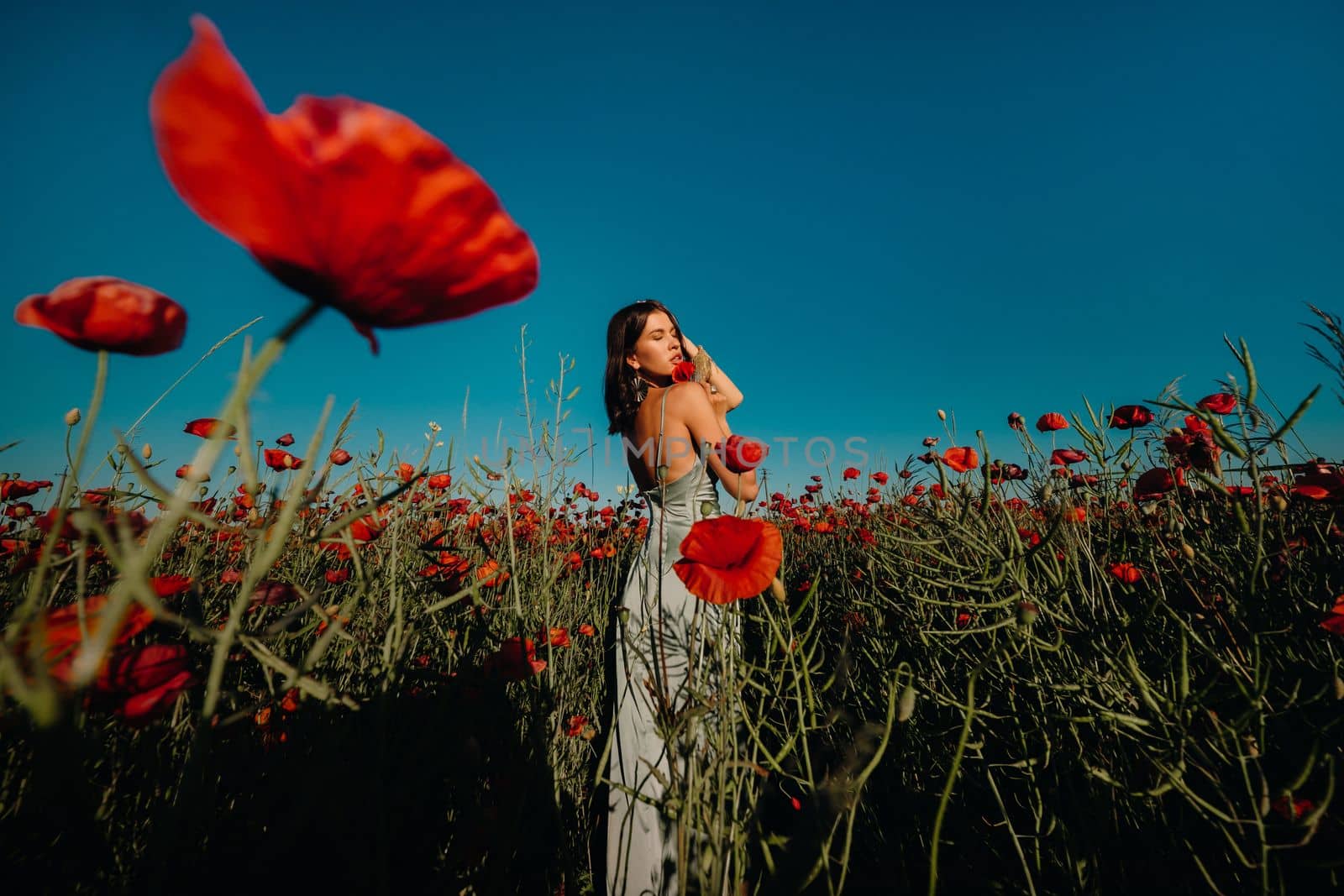 Portrait of a girl in a dress on a poppy field at sunset.