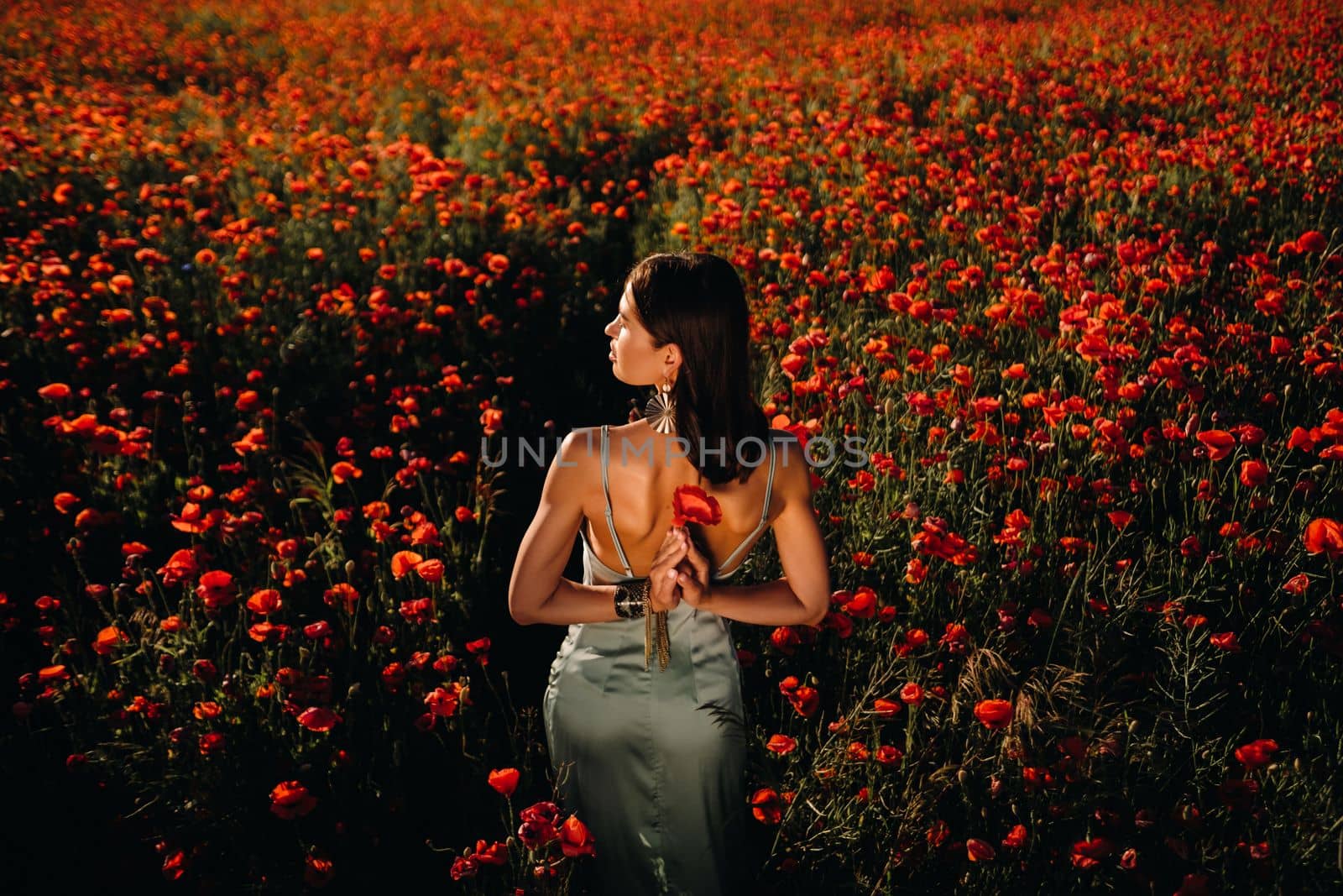 Portrait of a girl in a dress on a poppy field at sunset by Lobachad