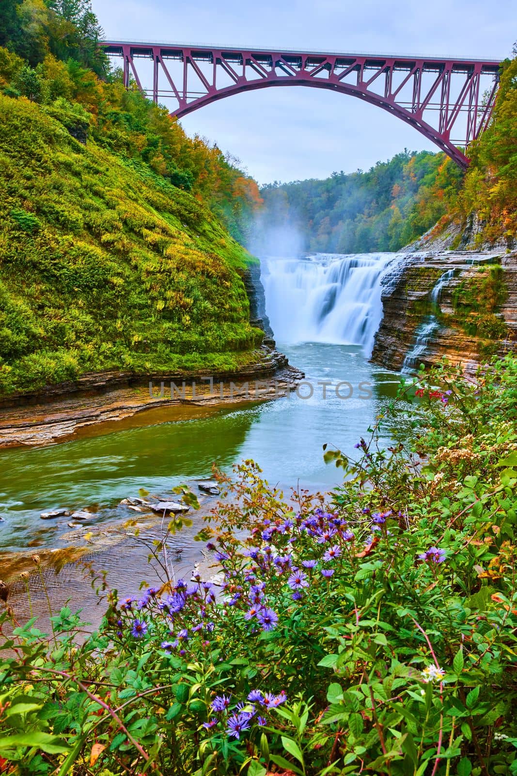 Image of Stunning waterfall in gorge with arched train track bridge above and purple field flowers in front