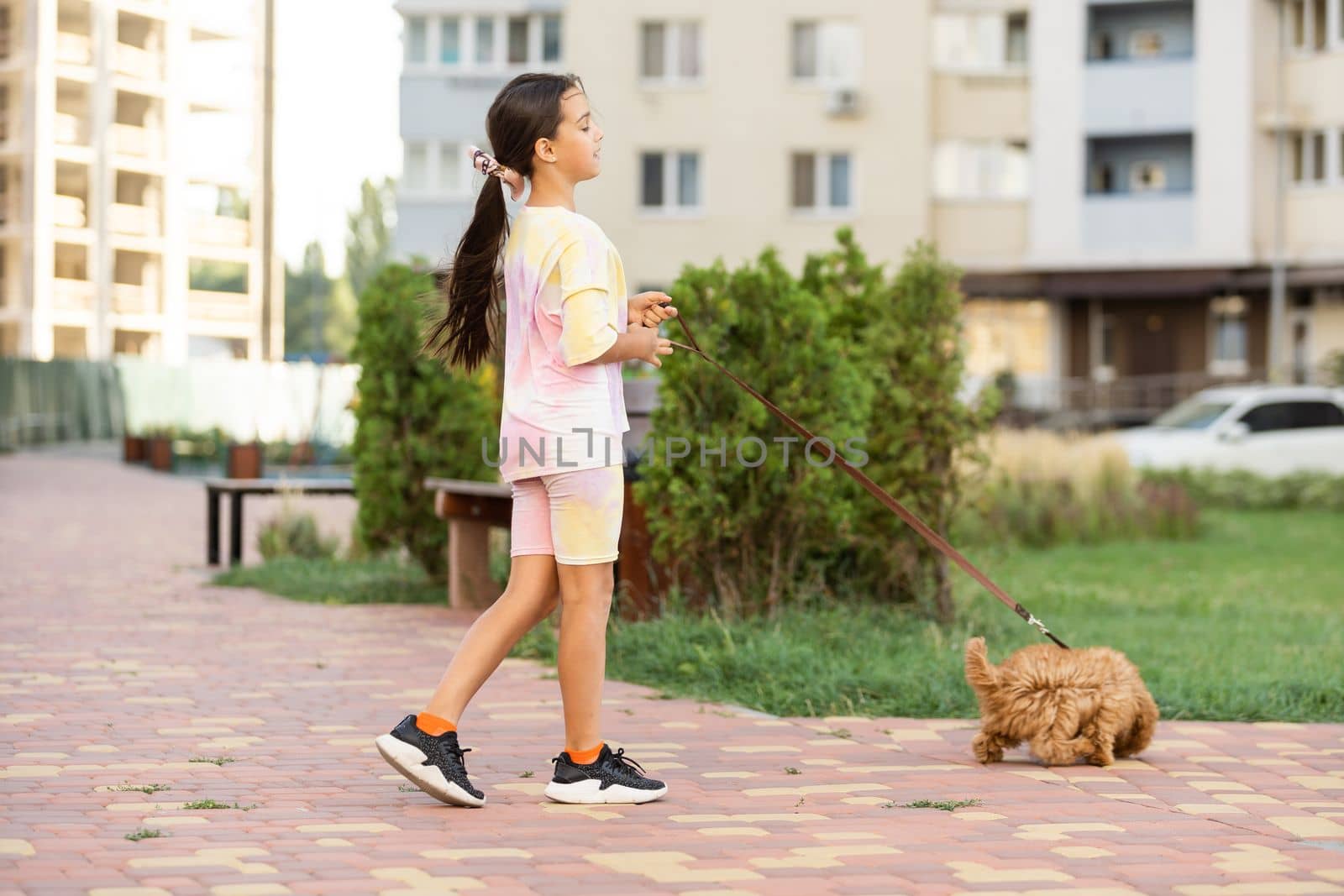 Little girl with a maltese puppy, outdoor summer. by Andelov13