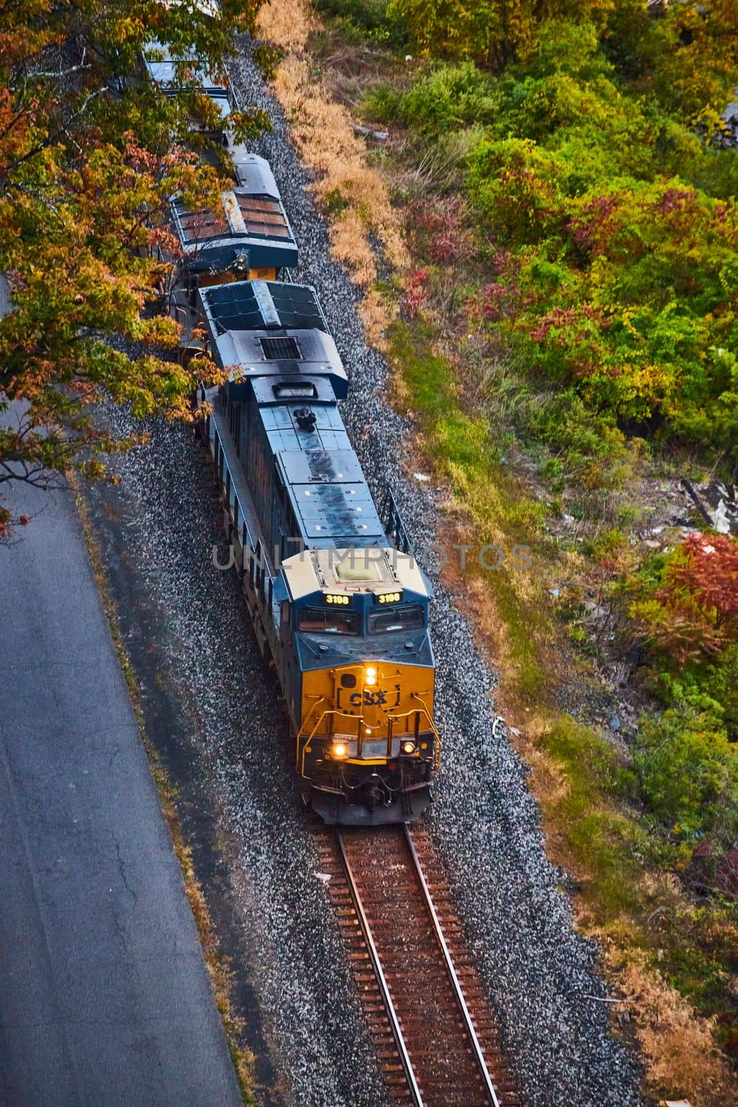Image of Looking down on transport train along tracks through forest