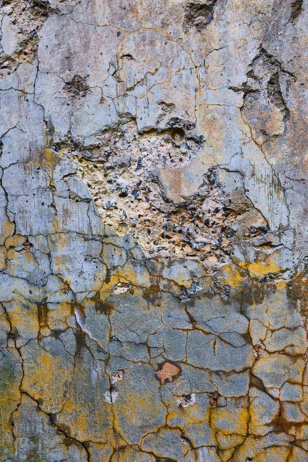 Image of Detail texture of cracking cement wall with orange lichen