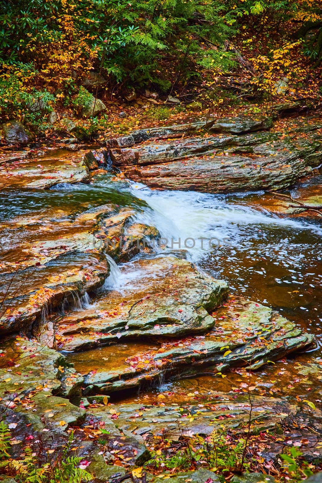 Image of Waterfall small cascading through creek with fall leaves covering fall rocks