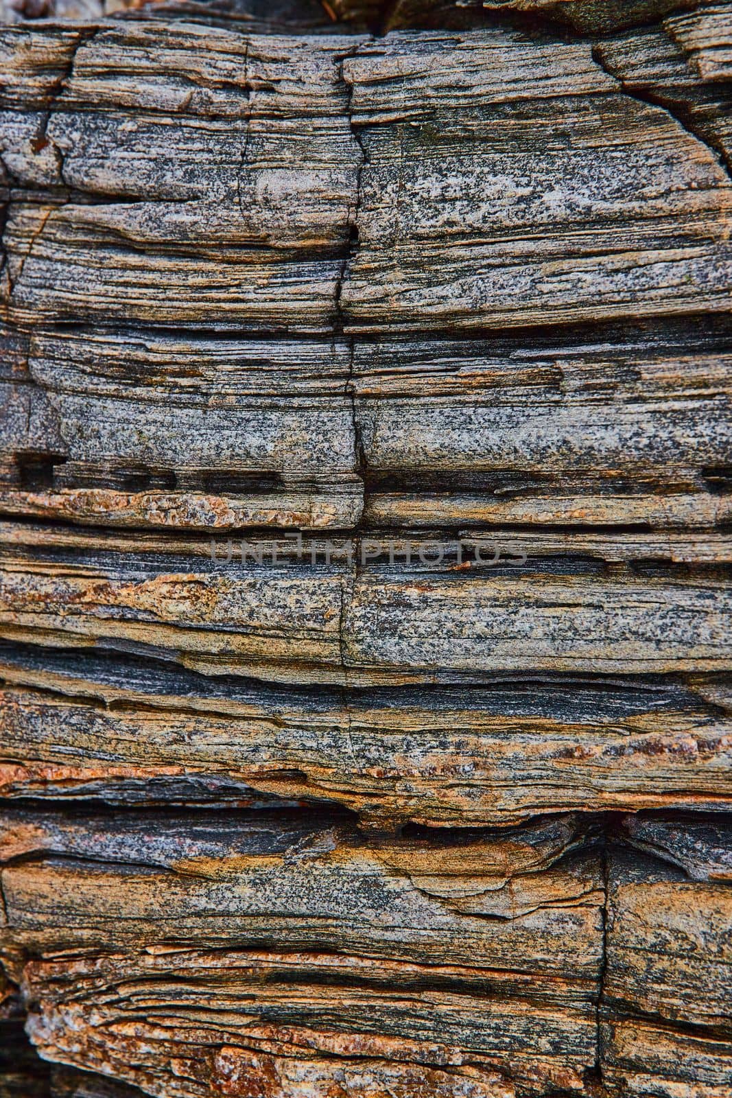 Image of Layers of rock that look like petrified wood on Maine coast