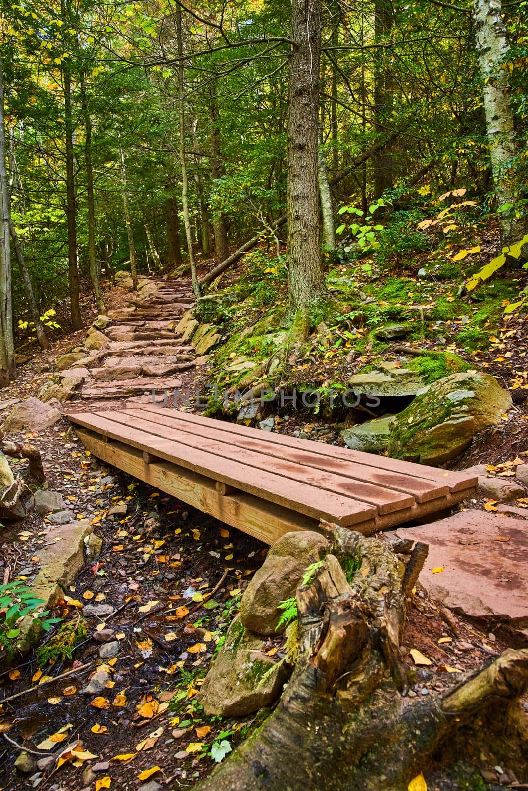 Image of Side view of hiking trail in fall forest with focus on wood plank bridge