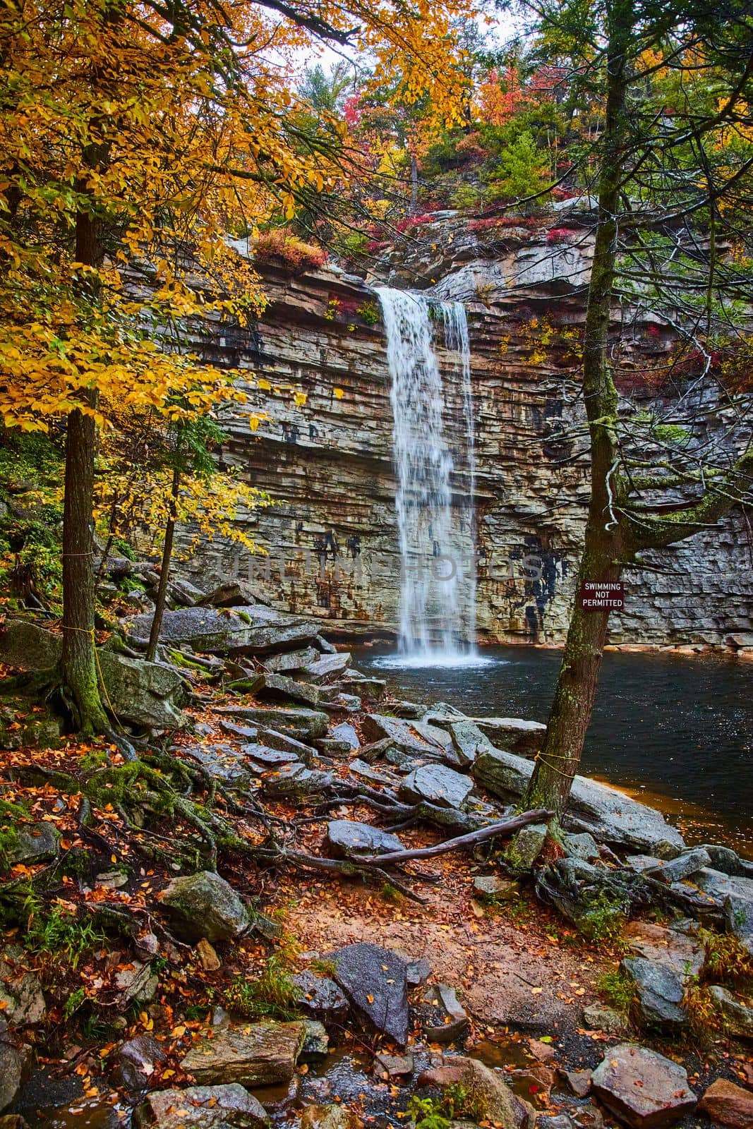 Image of Waterfall over cliff edge into river with rocks and fall trees on coast