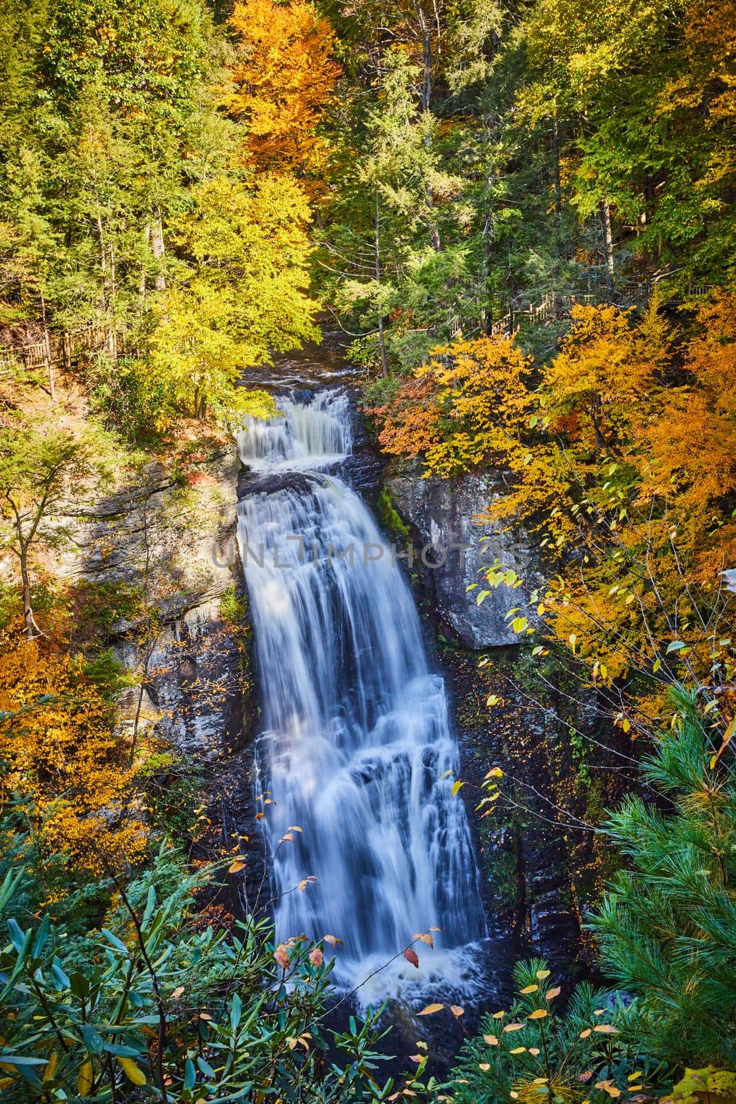 Image of Large waterfall over cliffs surrounded by fall foliage trees