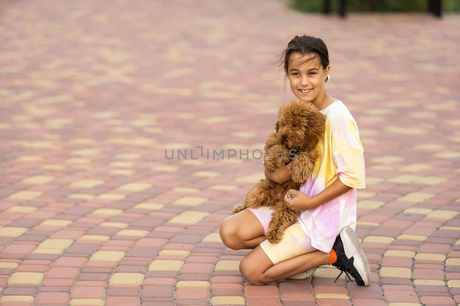 Little girl with a maltese puppy, outdoor summer. by Andelov13