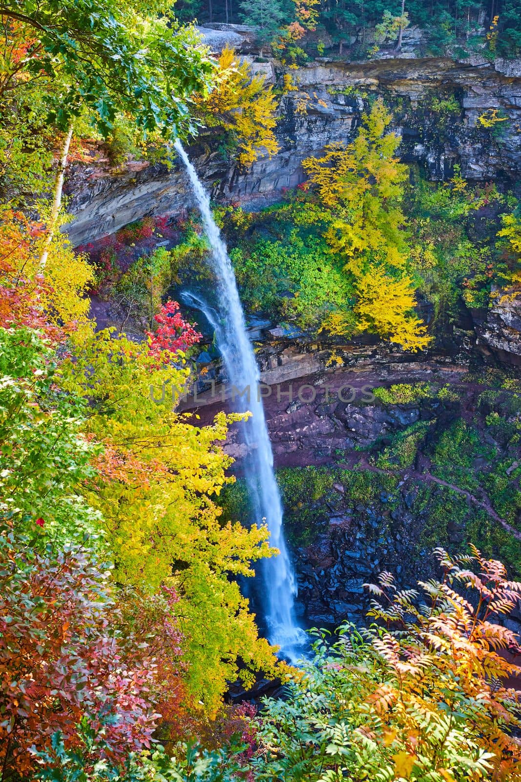 Image of Stunning tall waterfall over cliffs is surrounded by colorful peak fall foliage