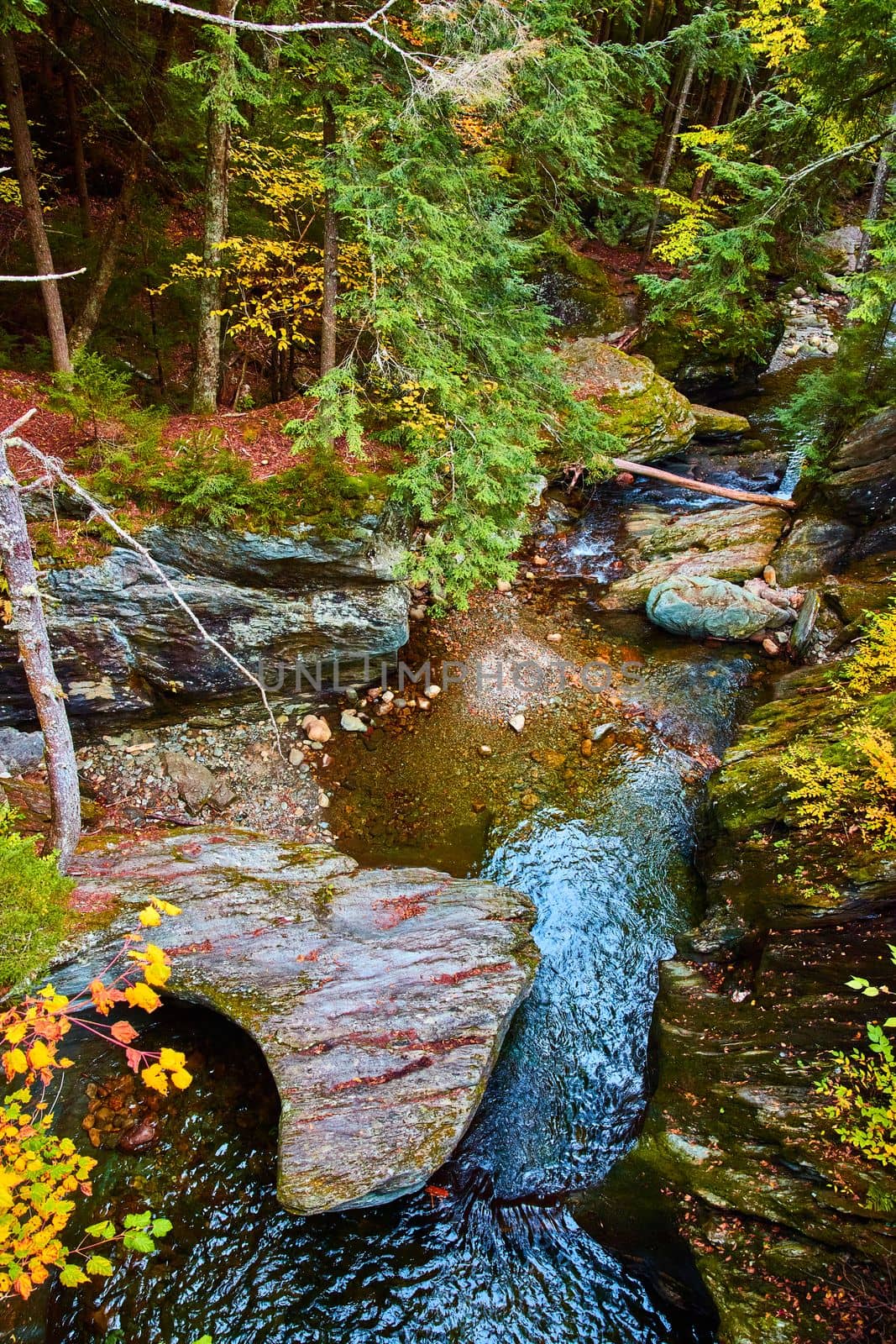 Image of Stunning gorge from above with rocks covered in fall leaves and colorful forest