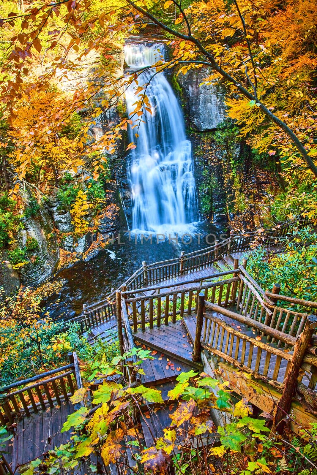 Image of Boardwalk stairs lead down to stunning large waterfall over cliffs surrounded by yellow fall foliage