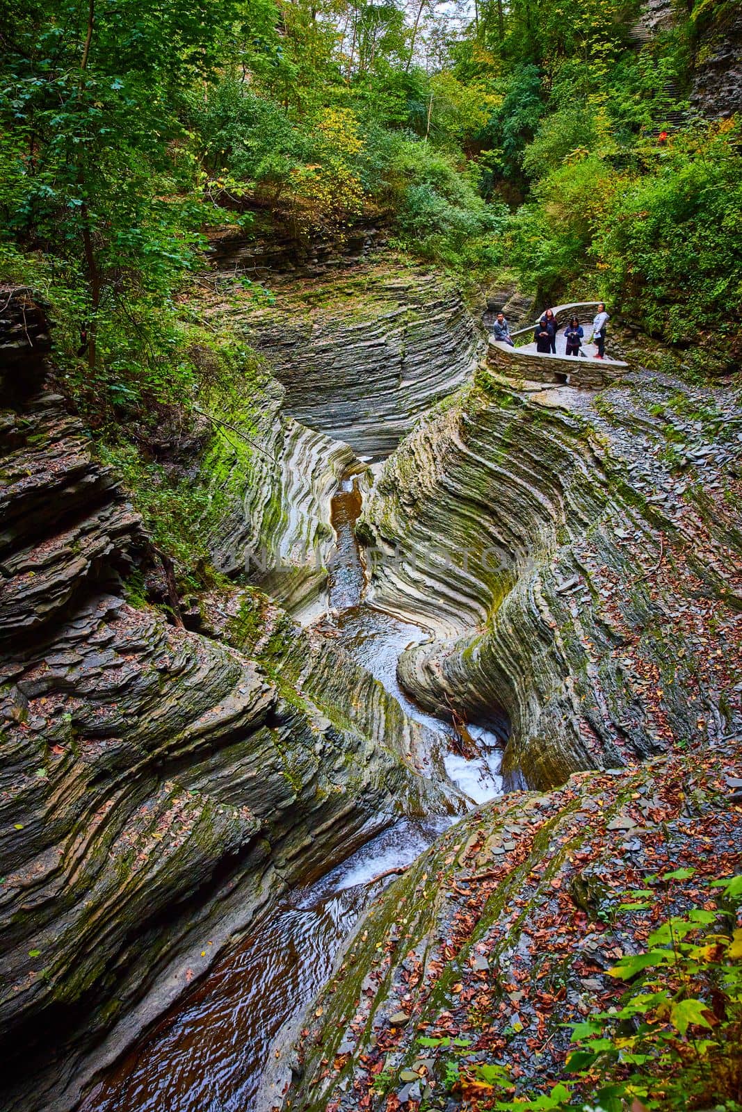 Image of Mossy and leaf covered layered rock gorge with river and overlook for tourists