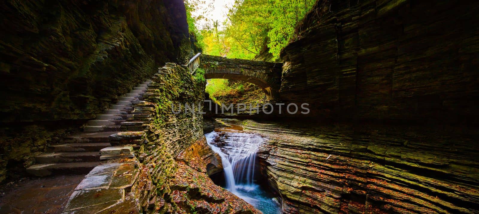 Image of Foliage fills gorge with waterfalls in New York park with stone steps leading over stone bridge
