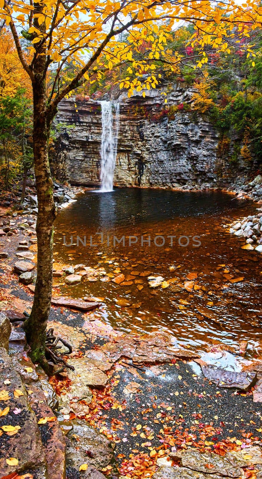 Image of Fall vibes in forest with large waterfall going over cliff edge