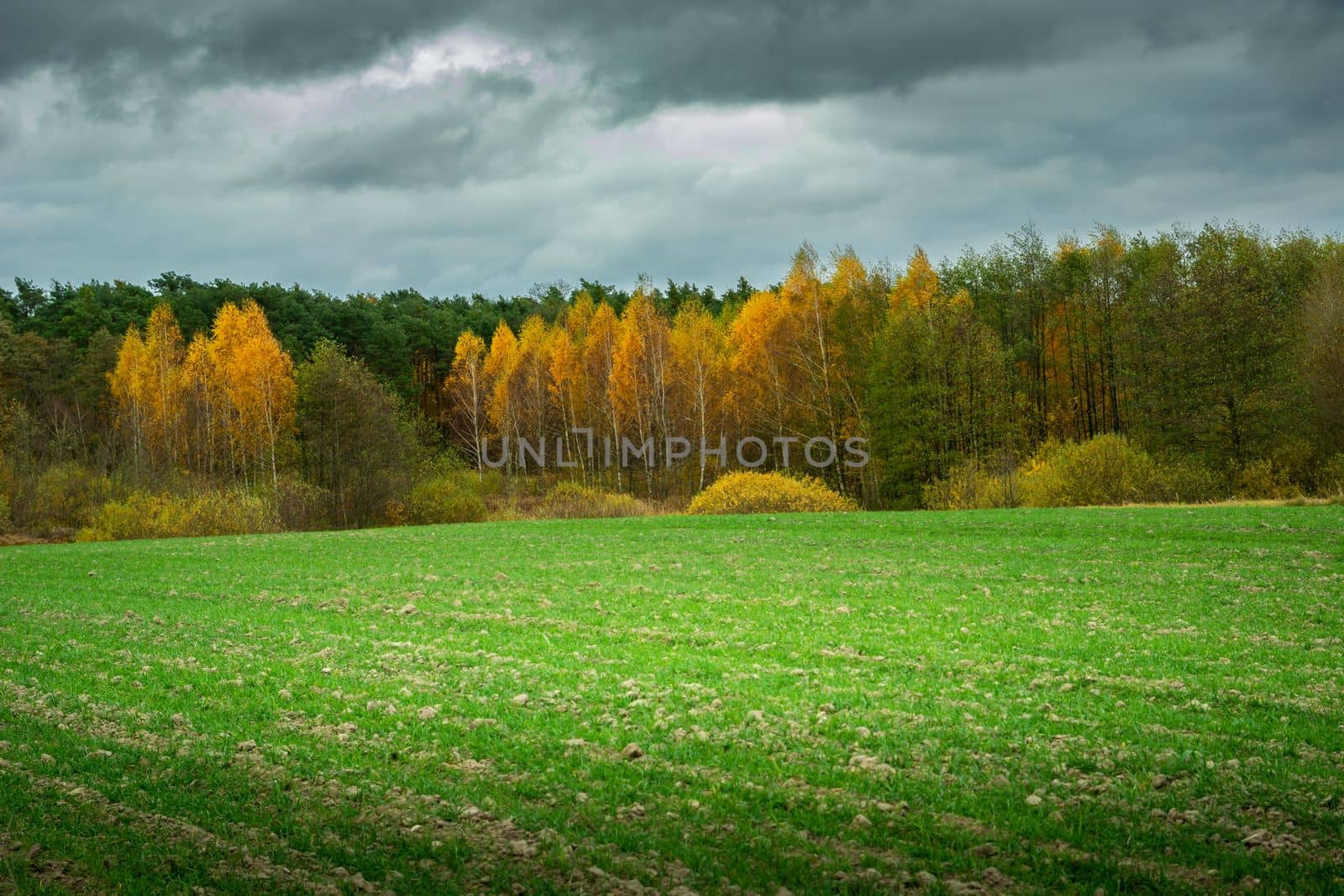 Cloudy sky over the autumn forest and a winter field, October rural landscape
