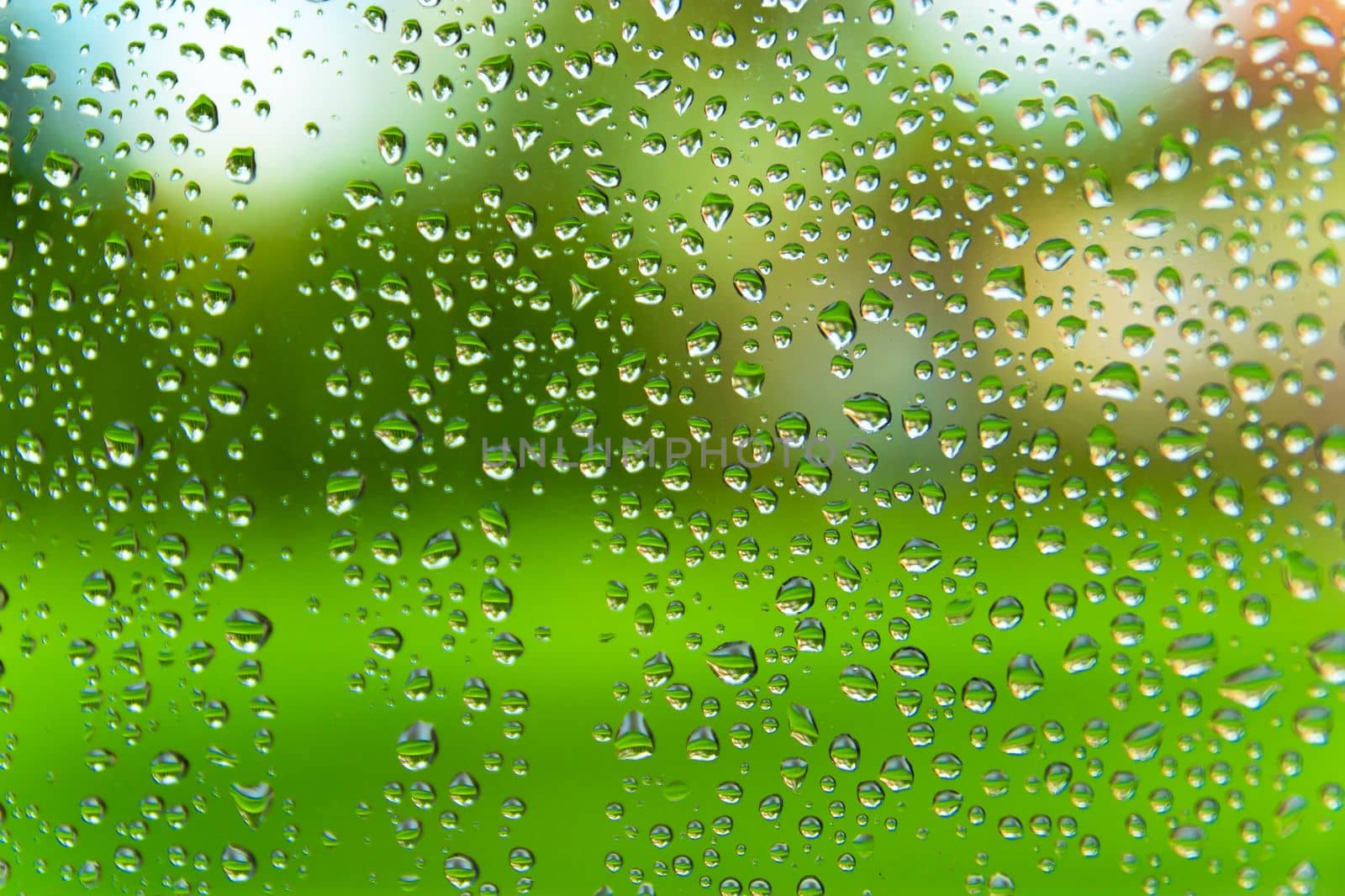 Many raindrops on the window glass on a green outdoor background