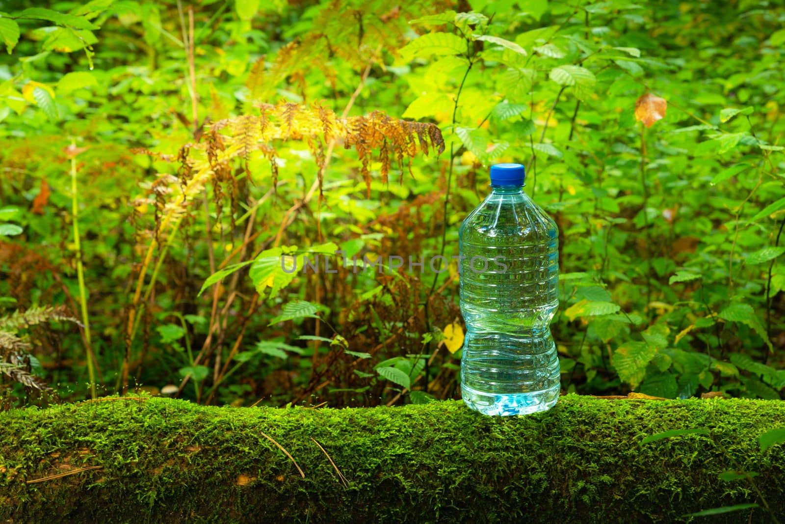 Single Plastic Bottle with Water in the Forest