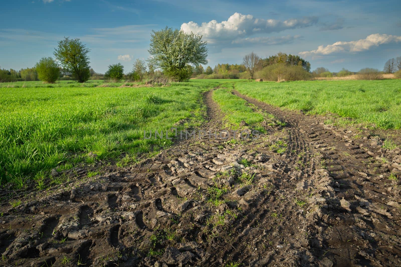 View of the muddy road and green meadows in spring by darekb22
