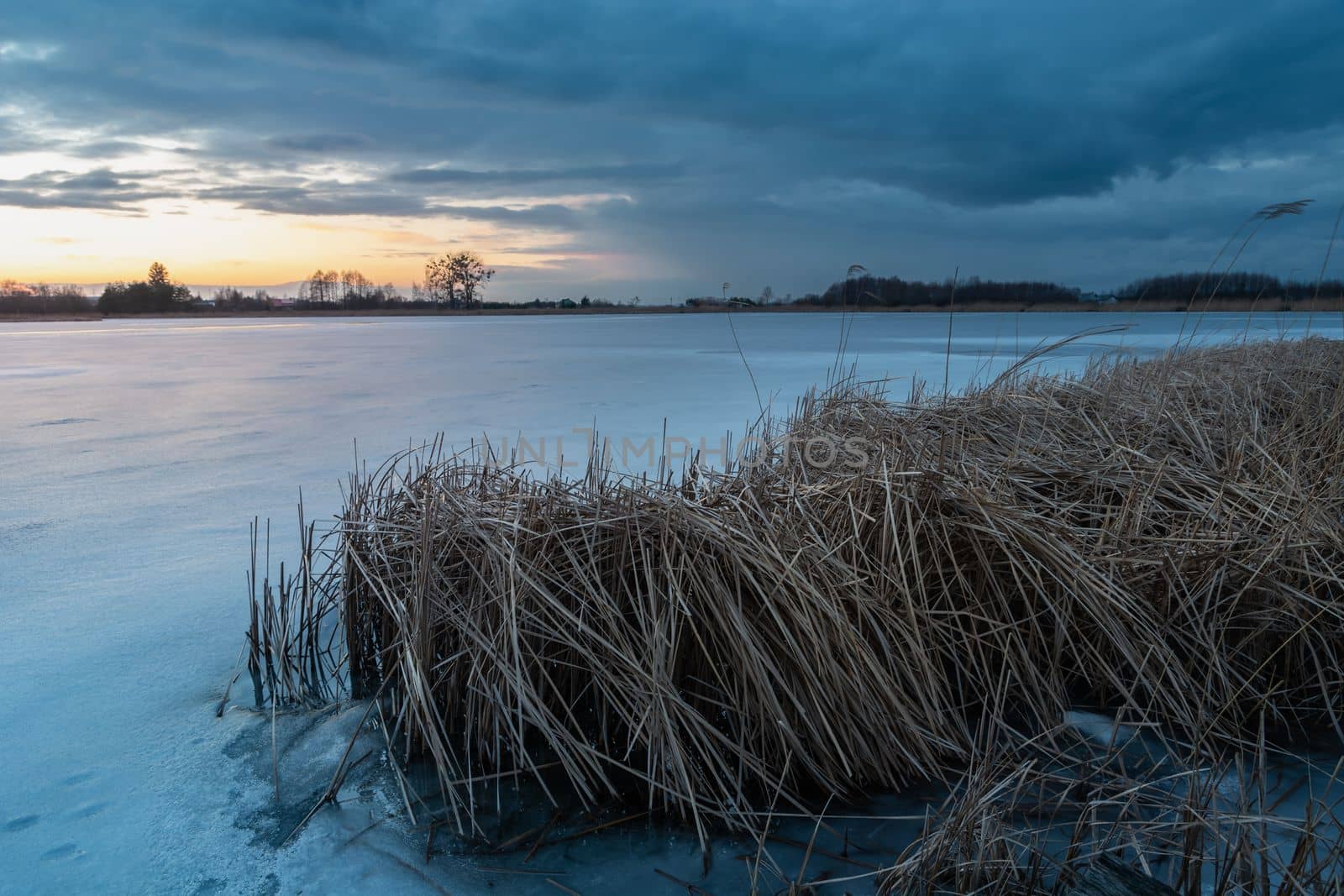 Dry grass in a frozen lake and overcast sky, winter evening view