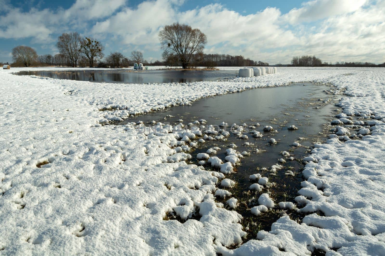 View of the wet meadow covered with snow, winter rural landscape