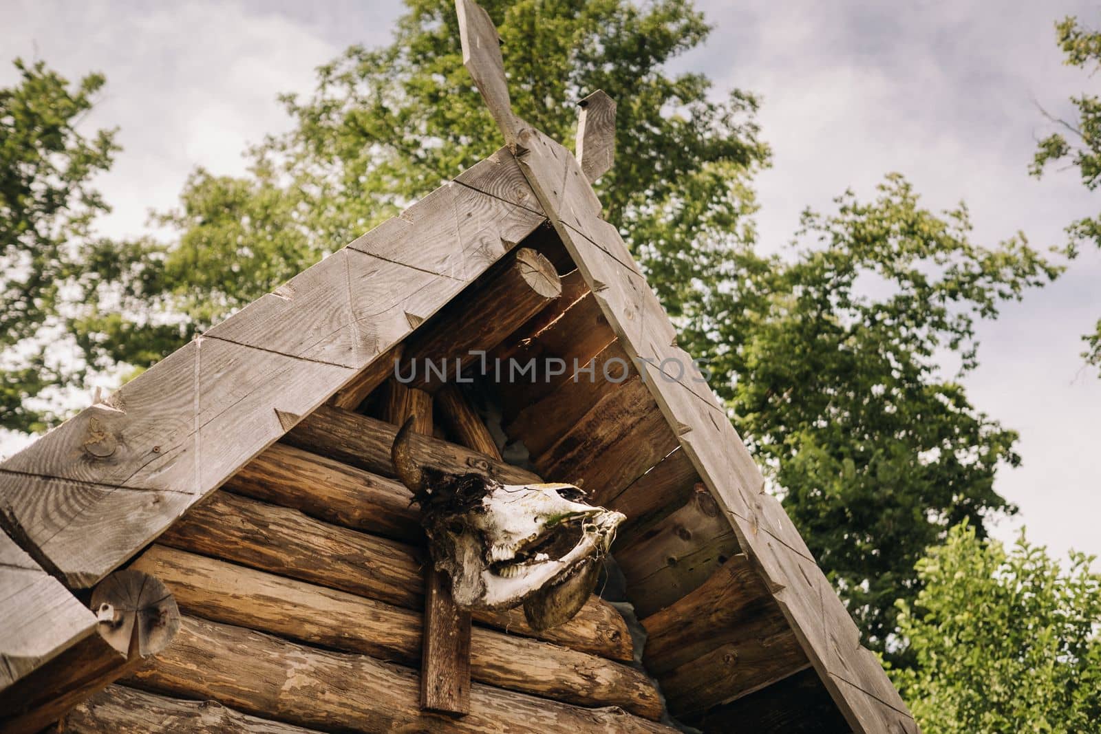 A close-up of a partially destroyed cattle skull that hangs over the entrance to an old triangular house.