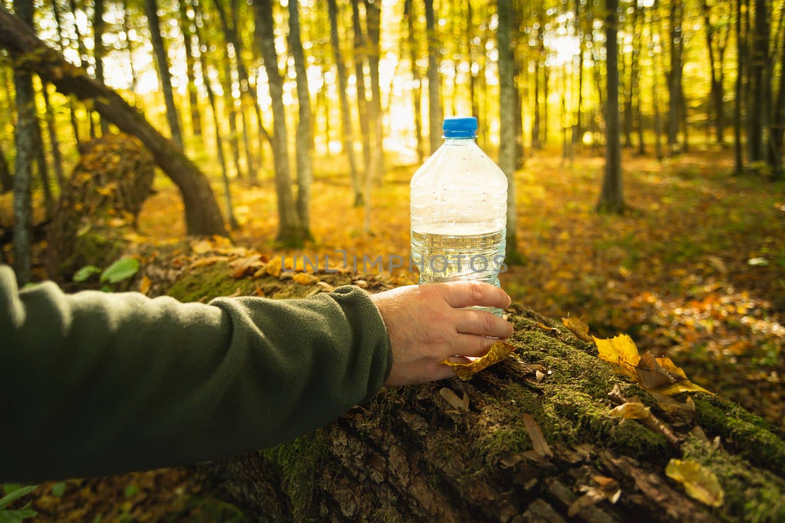 Male hand with a bottle of water, view in the autumn forest, October sunny day