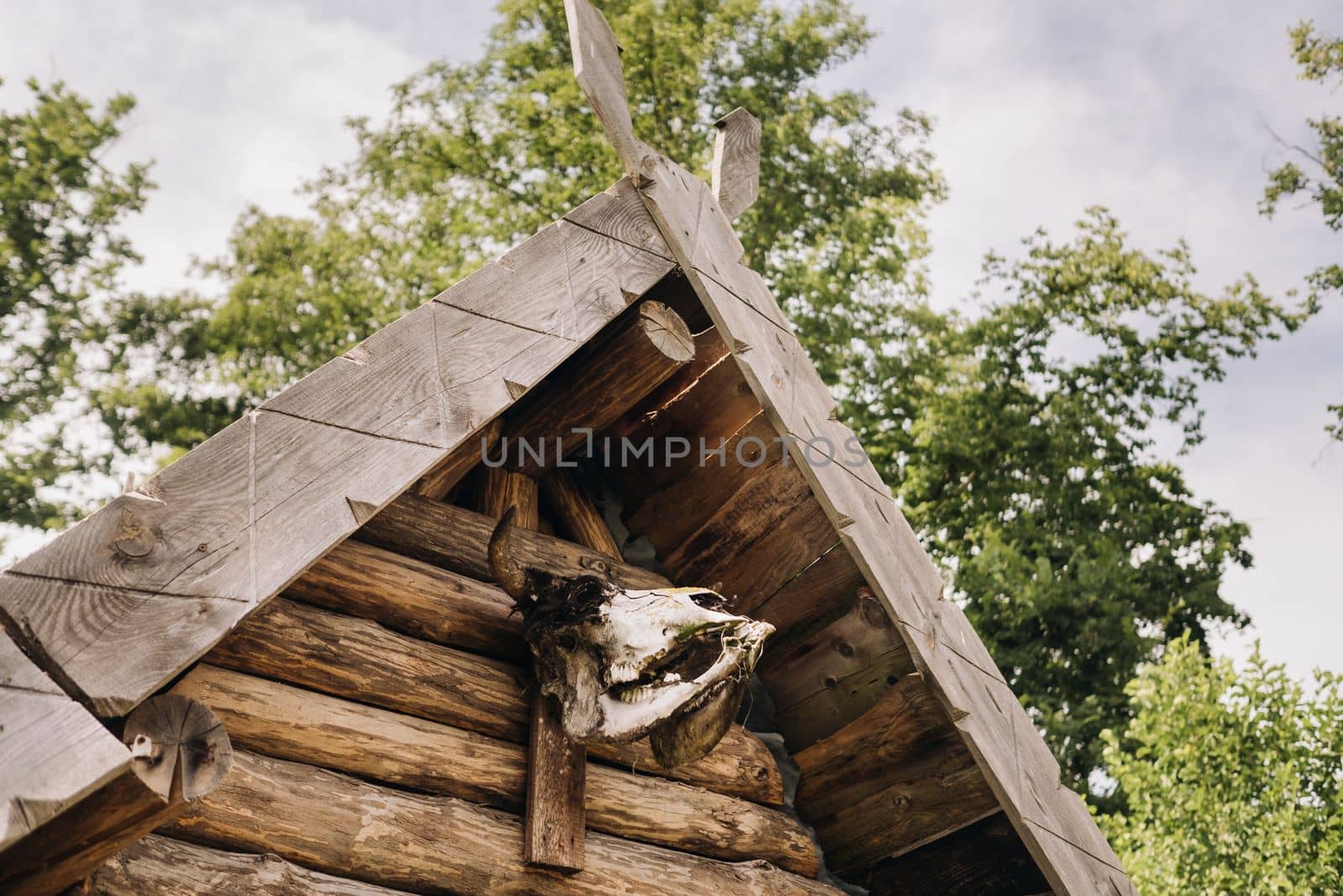 A close-up of a partially destroyed cattle skull that hangs over the entrance to an old triangular house by Lobachad