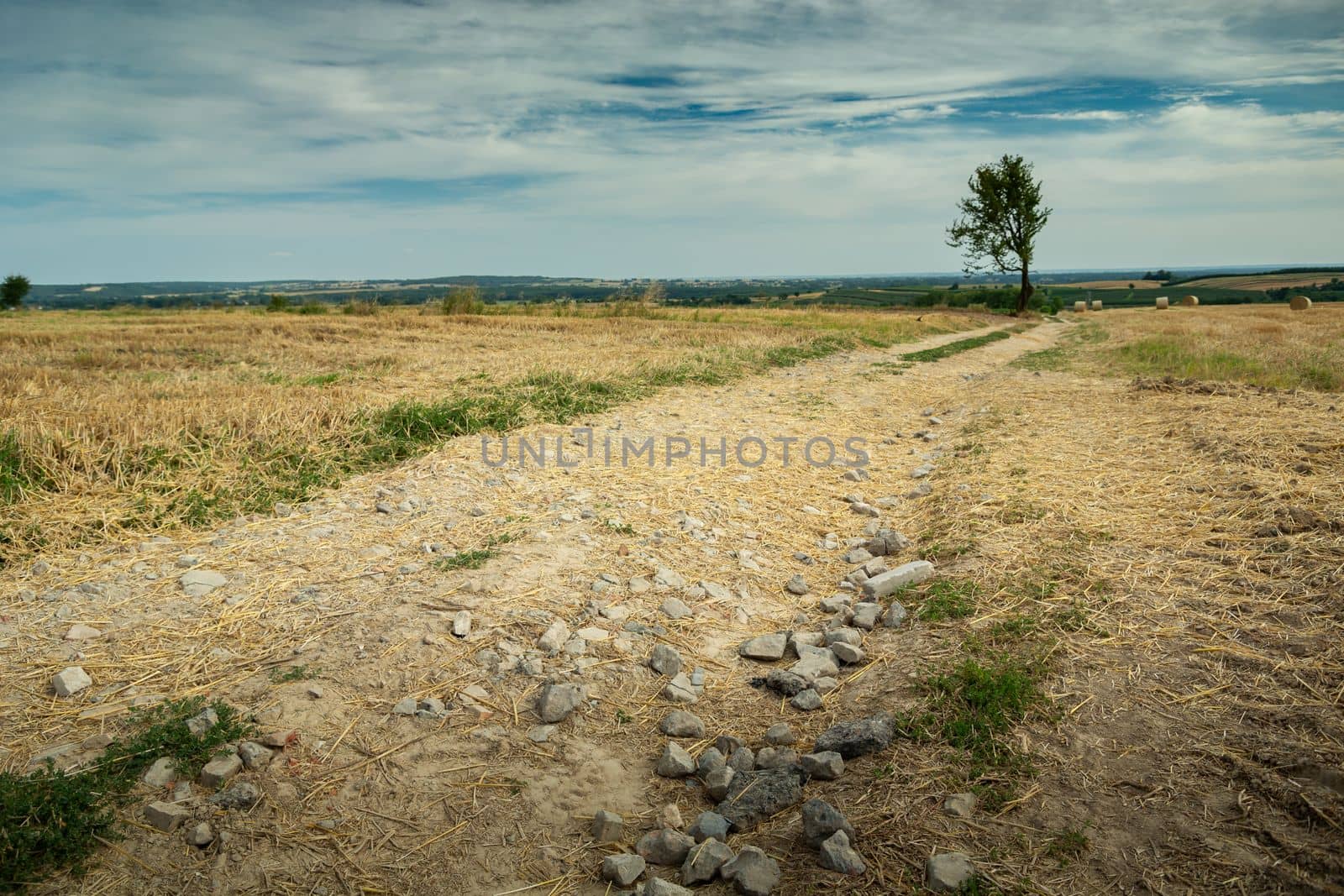 Stones on a dirt road through the fields, Ostrzyca, Poland