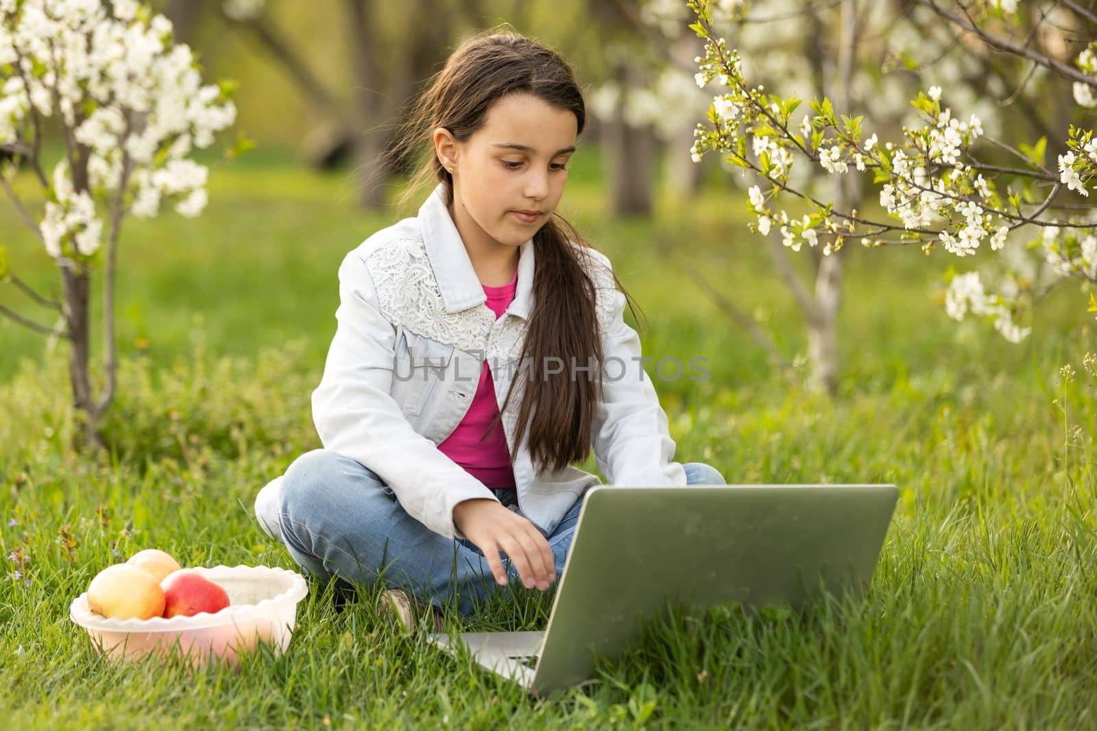 Home schooling. little girl with a laptop video chat in the garden.