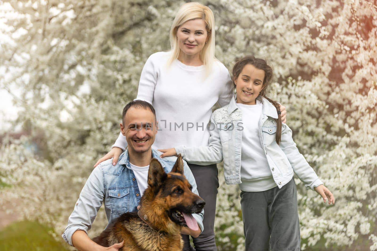 Family with small child and dog outdoors in orchard in spring. by Andelov13