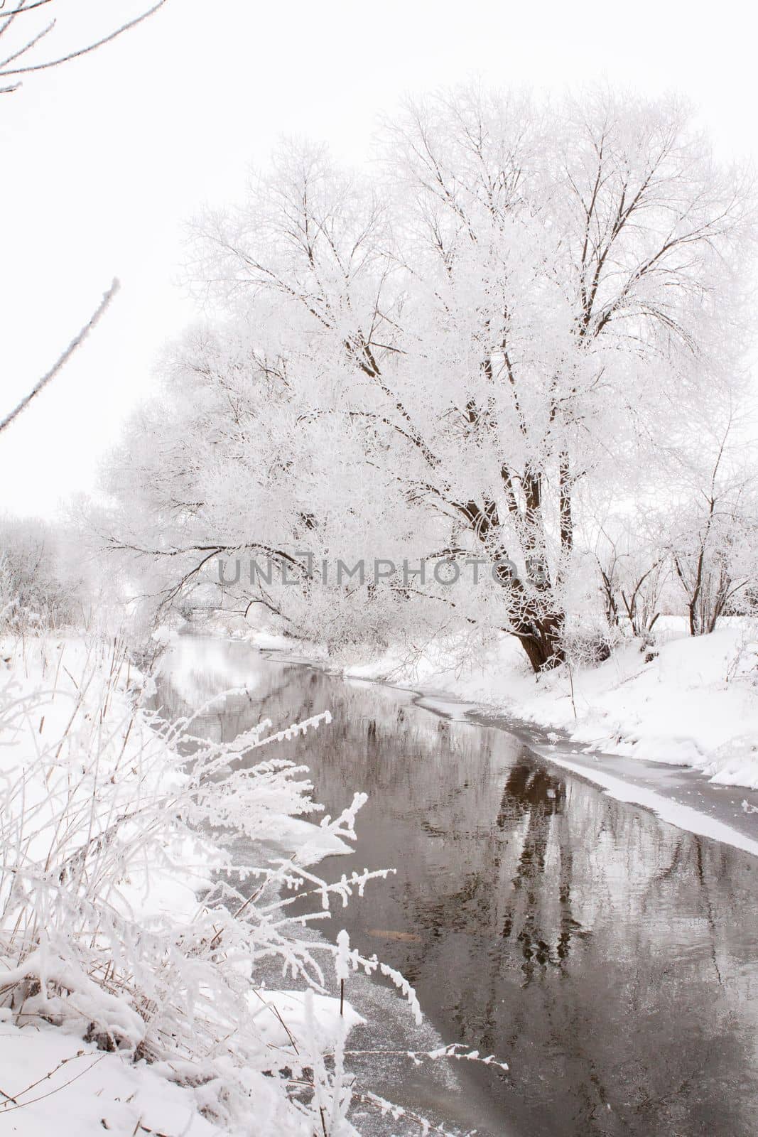 Snow-covered landscape of open spaces near the river. Snowy weather.