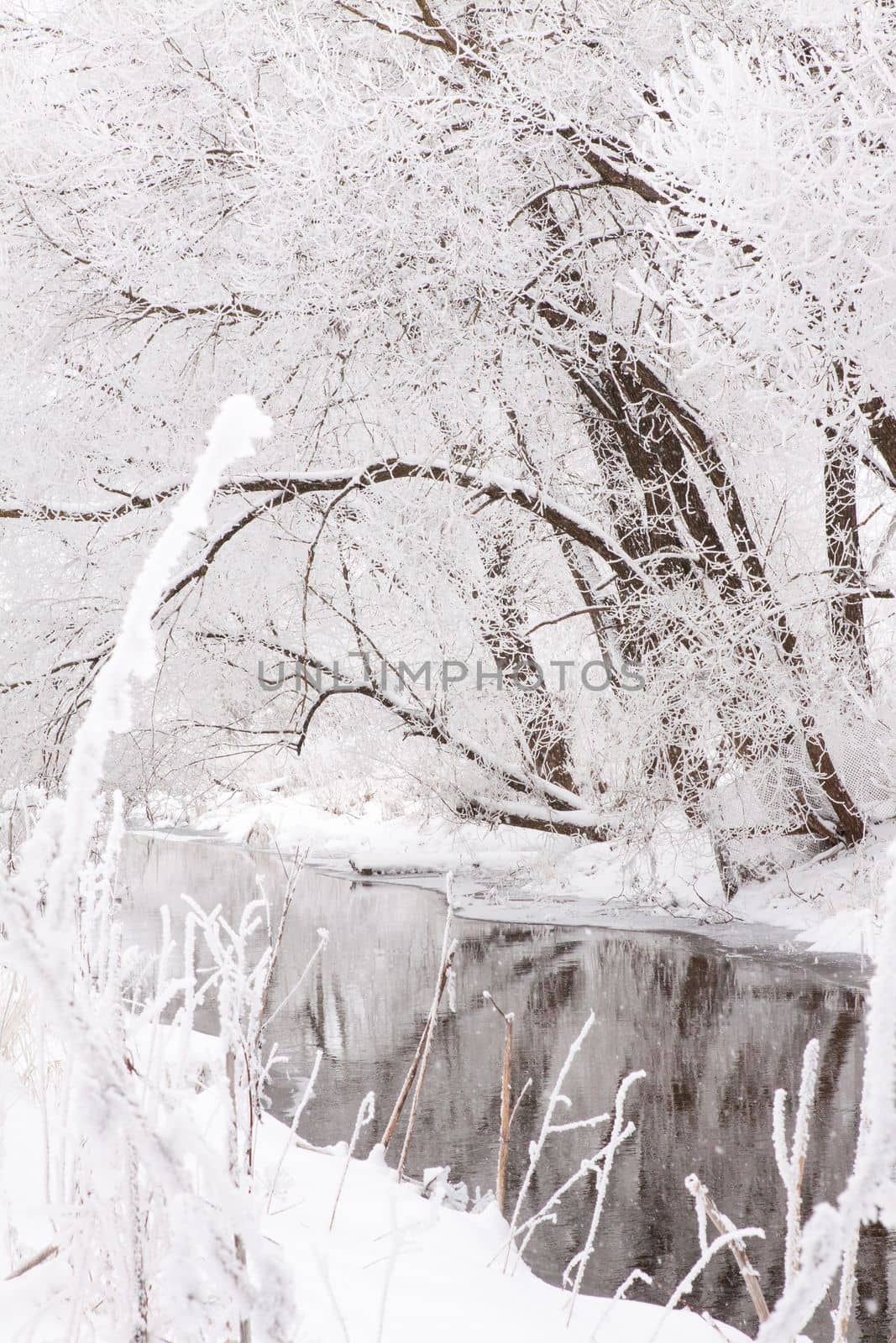 Snow-covered landscape of open spaces near the river. Snowy weather.