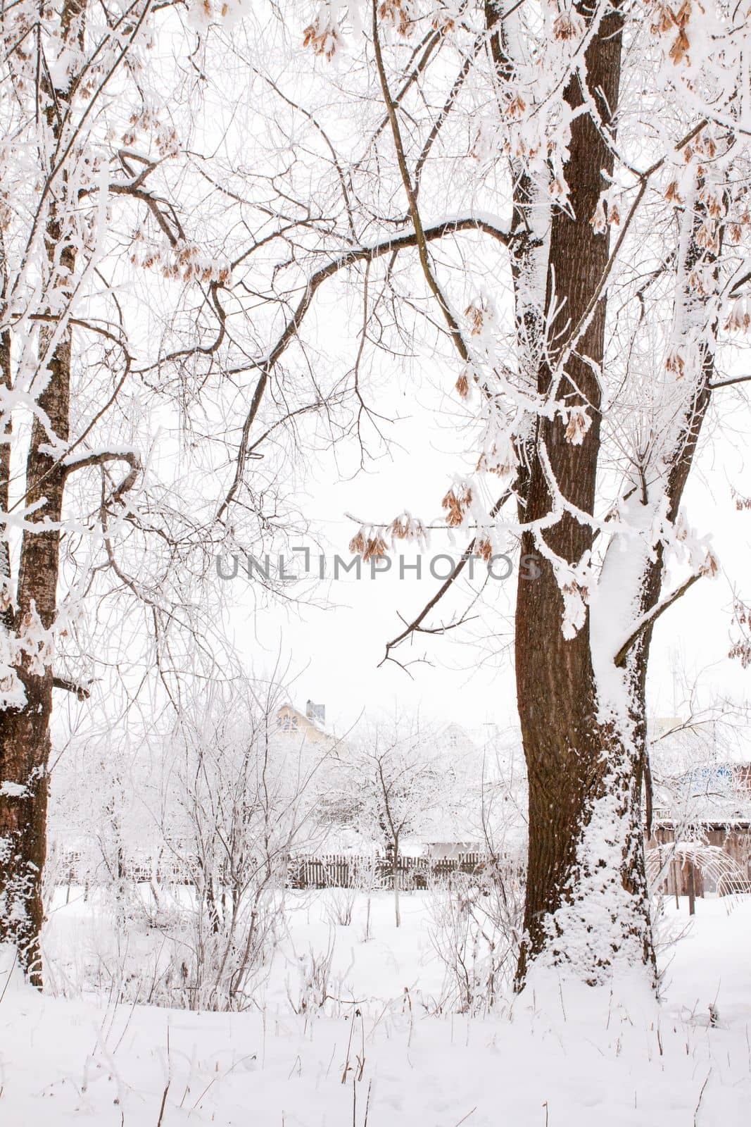 Snow-covered landscape of open spaces near the river. Snowy weather.