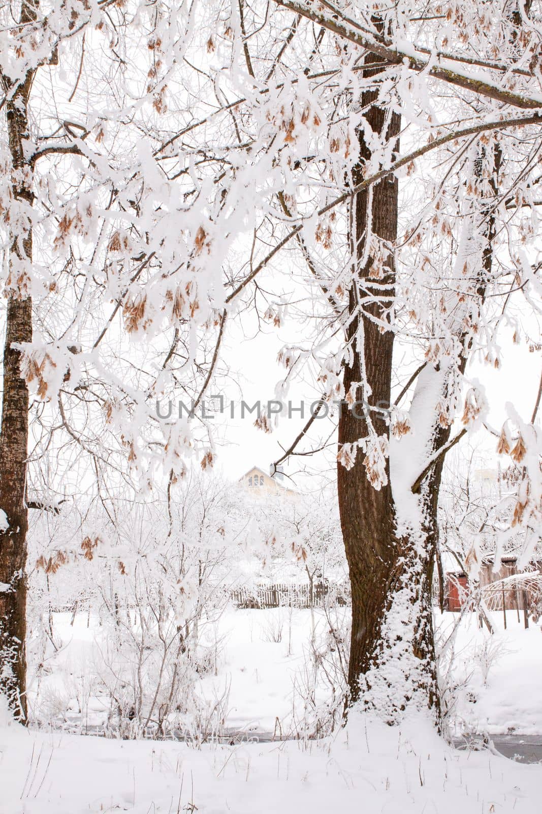 Snow-covered landscape of open spaces near the river. Snowy weather.