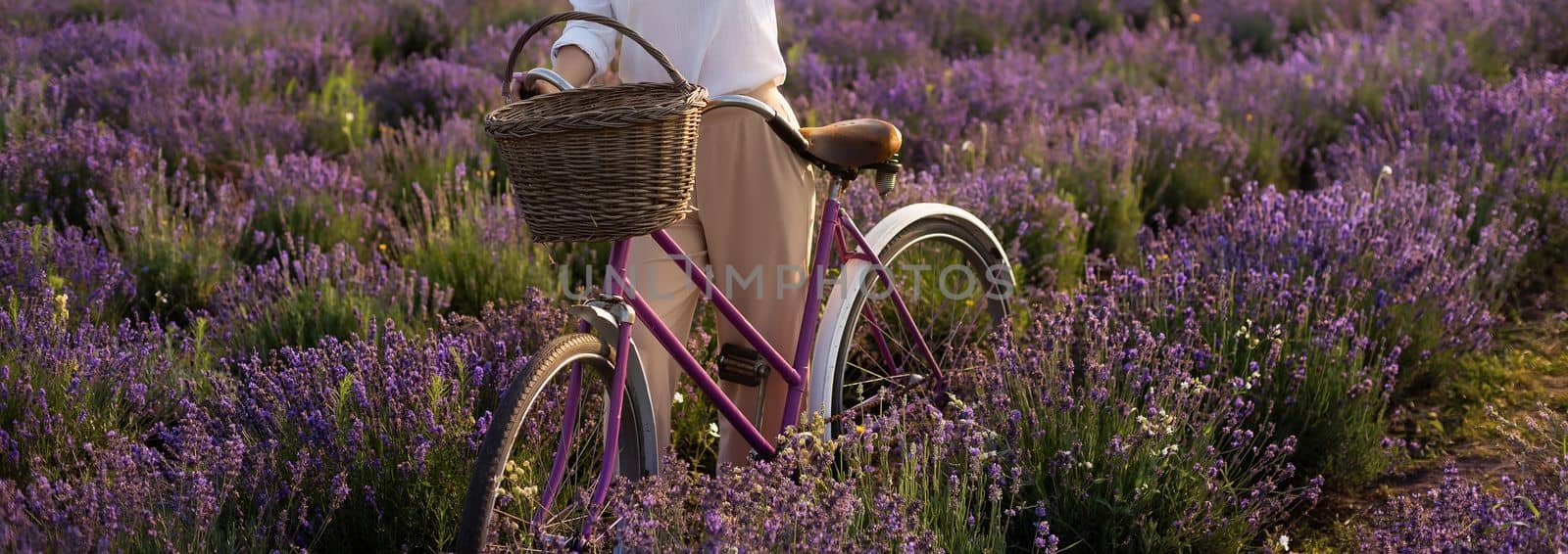 Beautiful young healthy woman with a white dress running joyfully through a lavender field holding a straw hat under the rays of the setting sun.