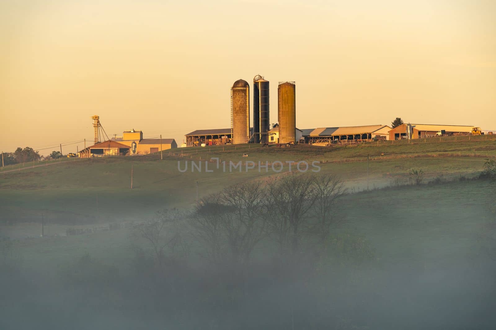 WVU husbandry farm center in Morgantown, West Virginia on a misty autumn morning