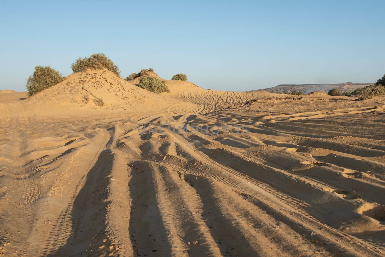 Barren desert landscape in hot climate with sand dunes by paulvinten