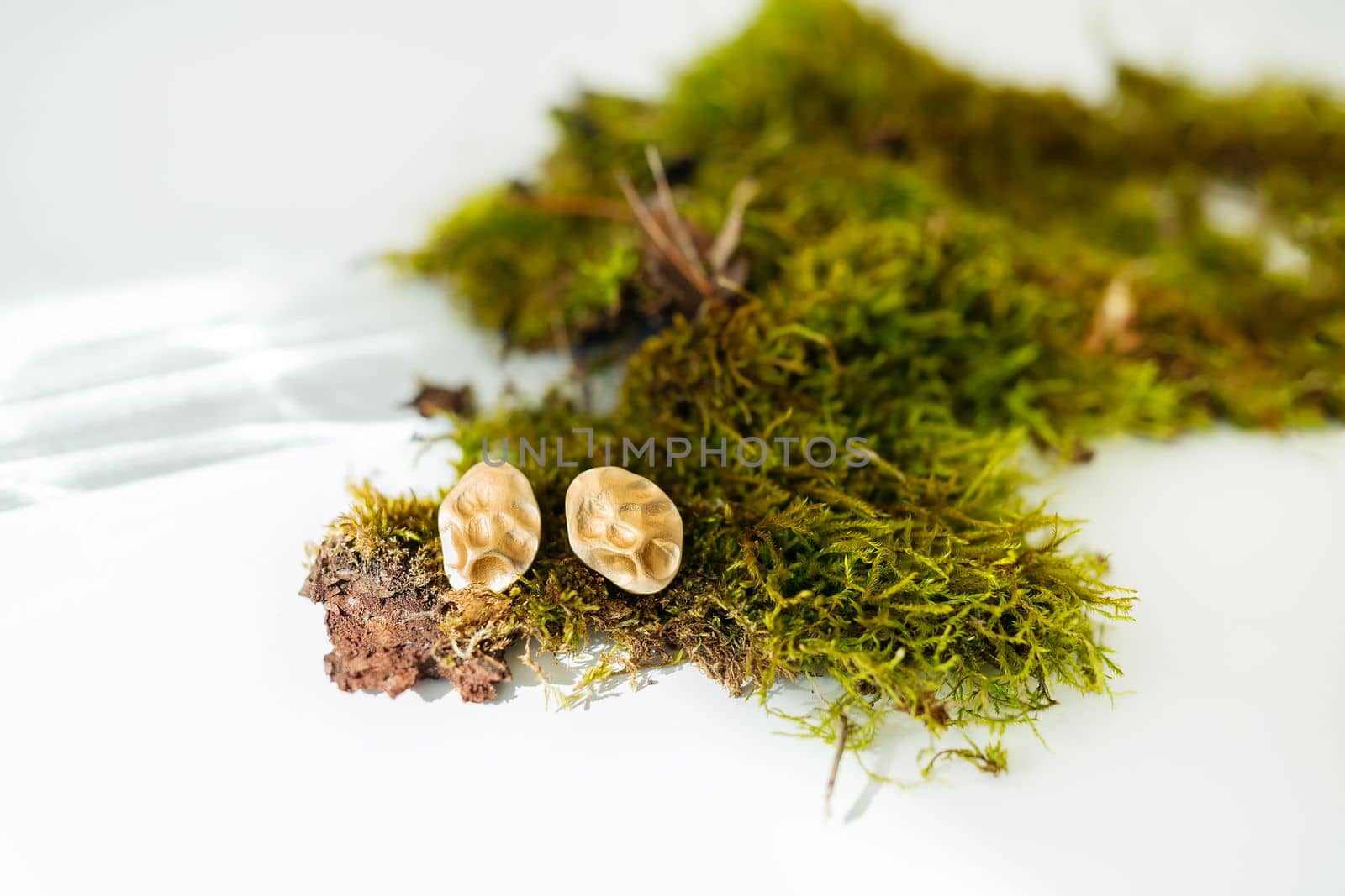Very beautiful minimalist gold earrings on green moss. Beautiful highlights and sunlight, soft and selective focus. The concept of a gift for any occasion for a girl