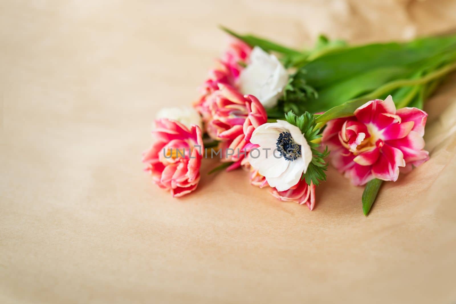 Beautiful red and white bouquet of tulips and anemones in kraft paper. The concept of spring and flowering. With copy space