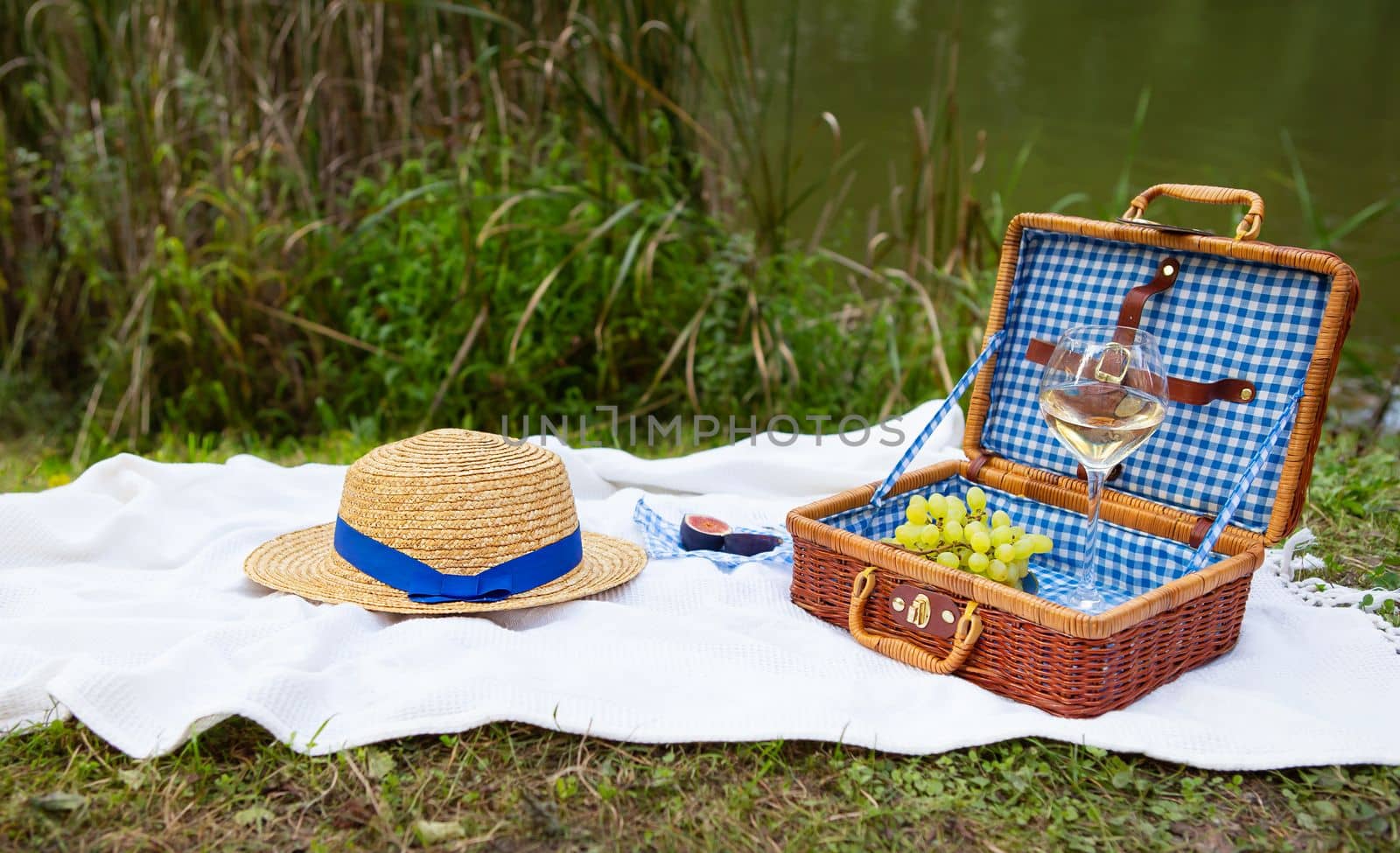 Romantic picnic in the park on the grass against the backdrop of a beautiful lake, delicious food: picnic basket, wine, grapes, figs, cheese, blue checkered tablecloth, two glasses of wine.Outdoor recreation concept