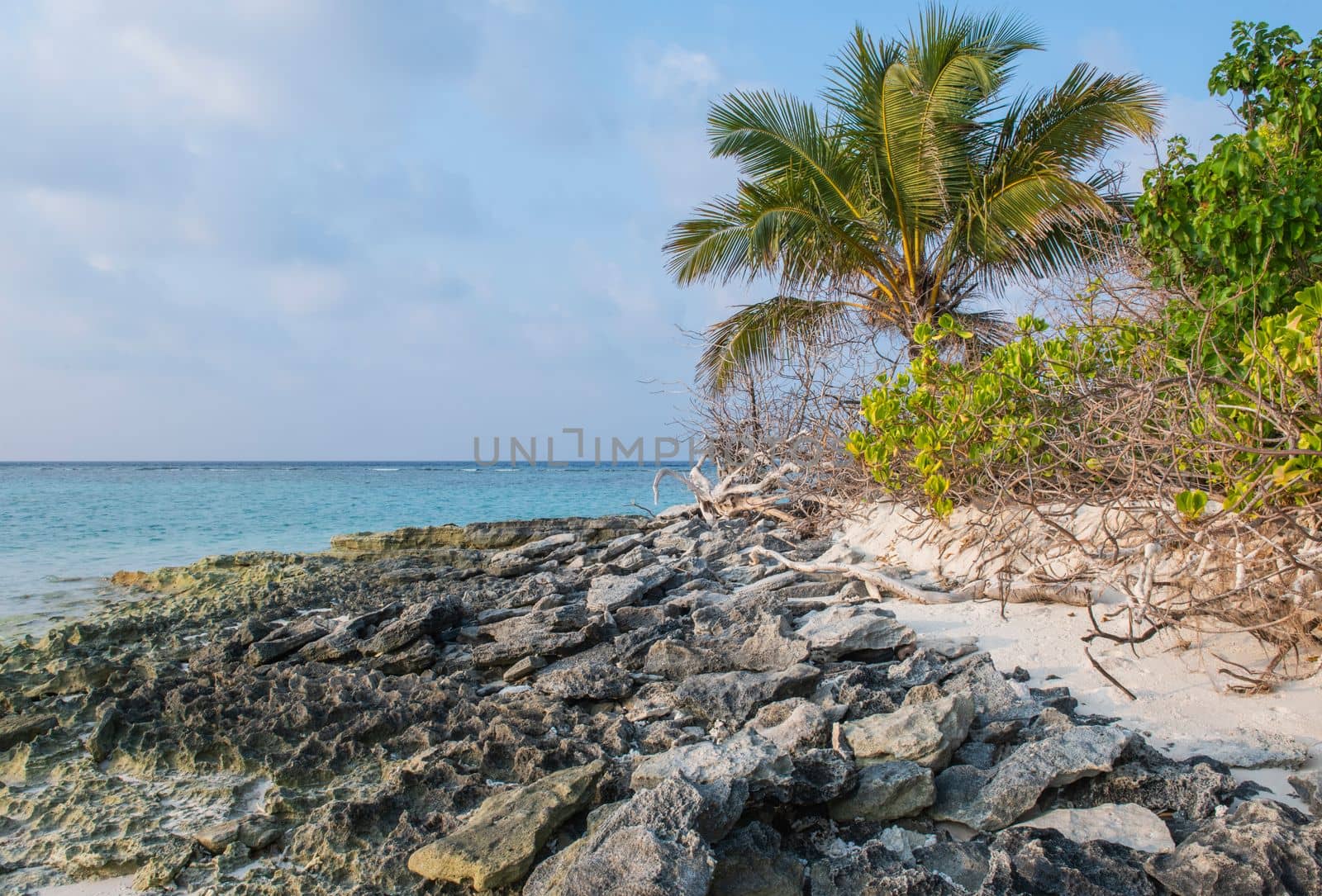 Remote tropical island shoreline with cocnut palm tree by paulvinten