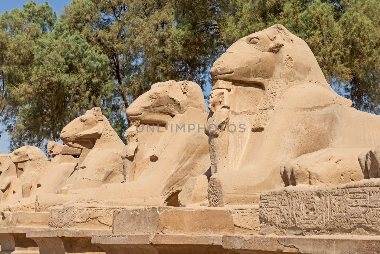 Large statues of ram-headed sphinxes in ancient egyptian Karnak temple down avenue