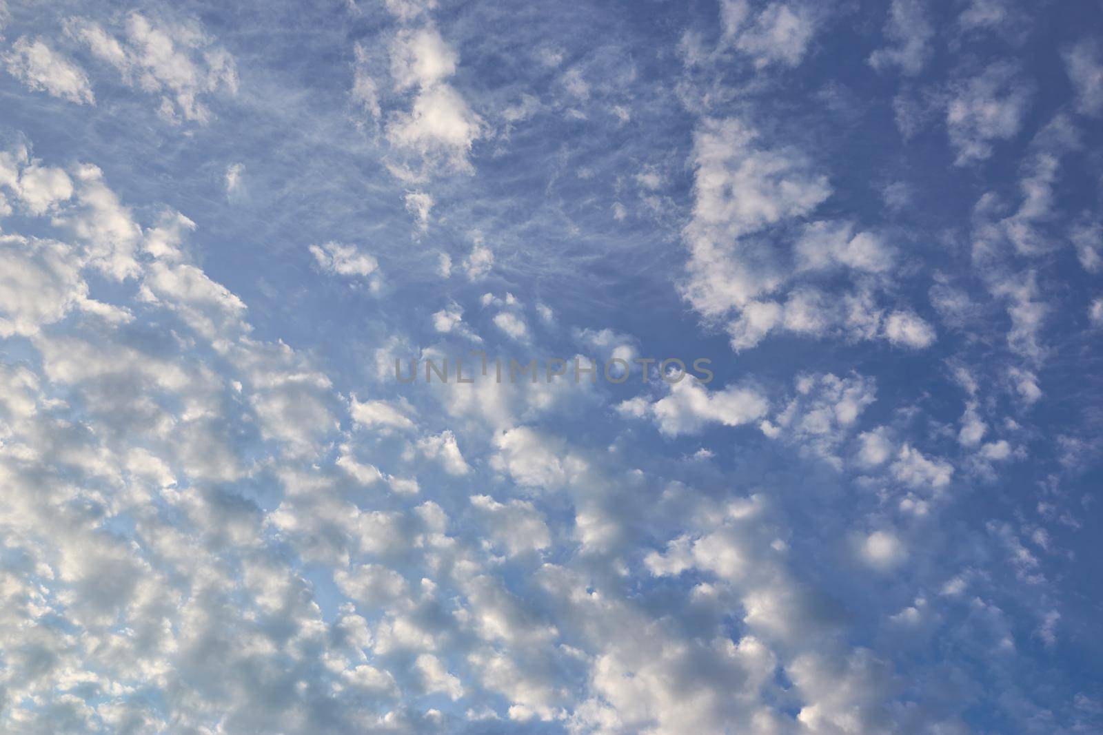 Cirrocumulus cloud on bright blue summer sky with sunrise in the early morning