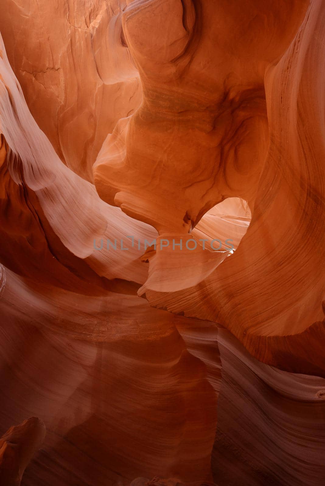 Sandstone wall in Lower Antelope Canyon, Arizona