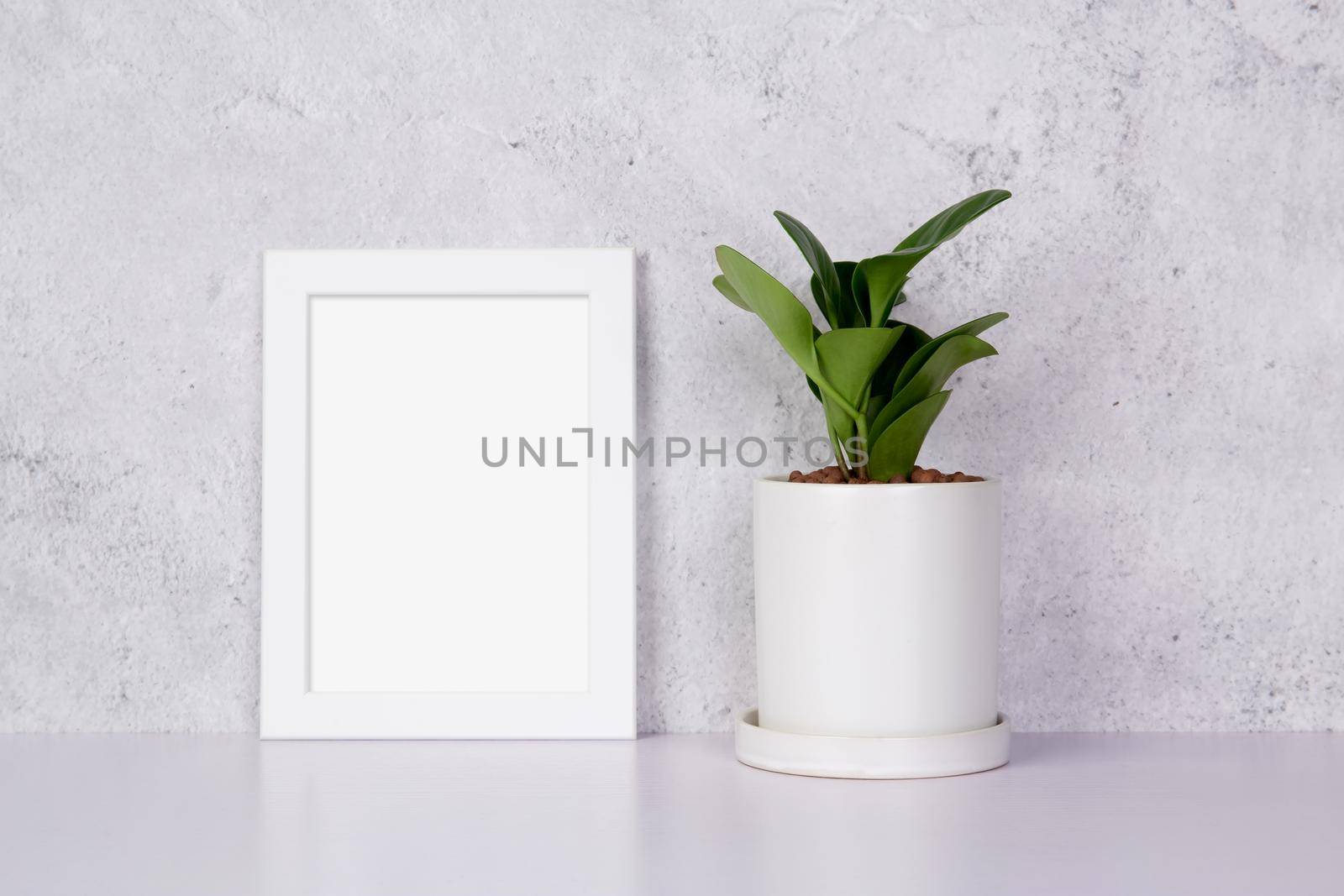Mockup white frame vertical and plants in pot on table top at home, mock up poster for presentation on desk, your design for gallery photo and picture, border template and decoration for advertising. by nnudoo