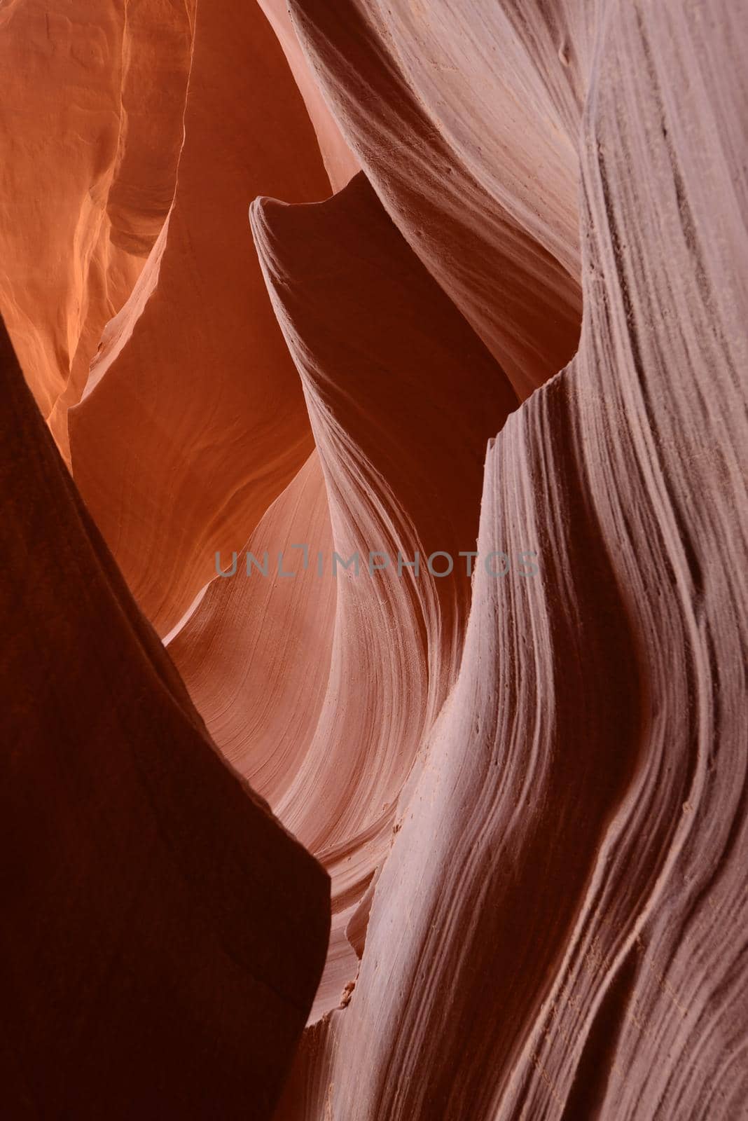 Sandstone wall in Lower Antelope Canyon, Arizona