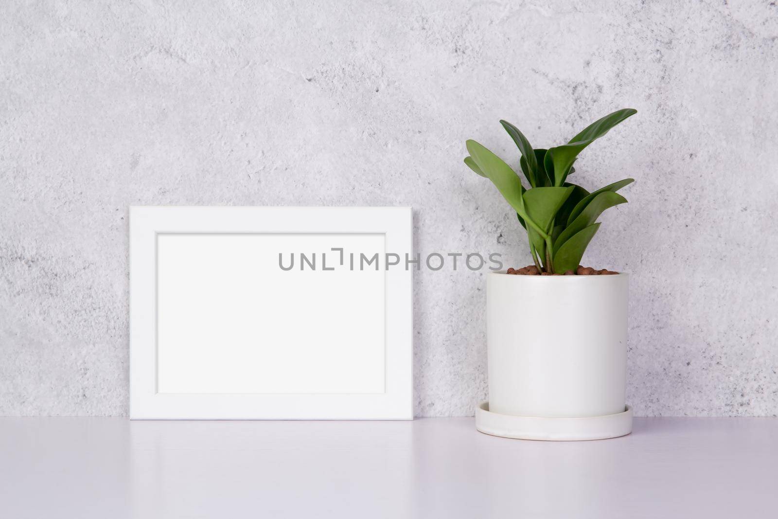 Mockup white frame horizontal and plants in pot on table top at home, mock up poster for presentation, your design for gallery photo and picture, border template and decoration for advertising.